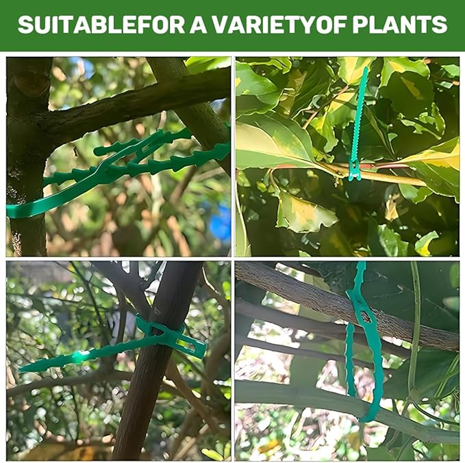 100 pces uteurs pour 17cm plantes attache plante Plante Clips,plastique, pinces Soutient les tomates, les poivrons - 8