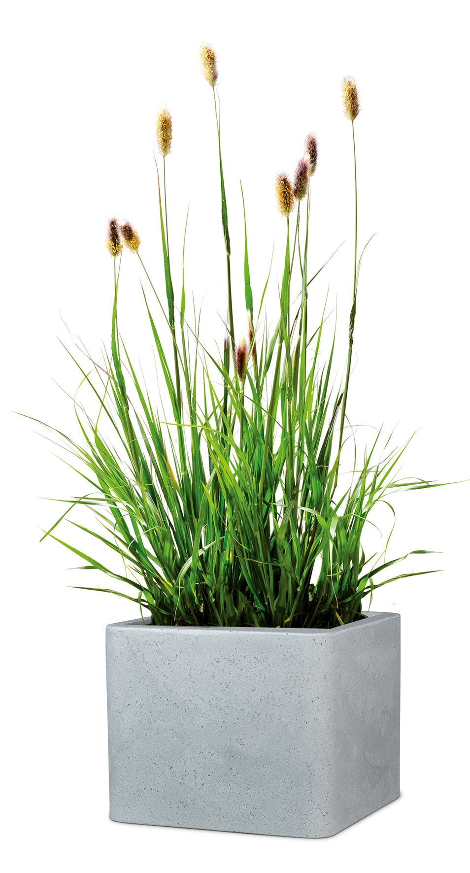 Scheurich Alea 40, bac à plantes/pot à fleurs/jardinière, carré, coloris: Stony Grey, fabriqué avec du plastique recyclé, pour l’extérieur - 3
