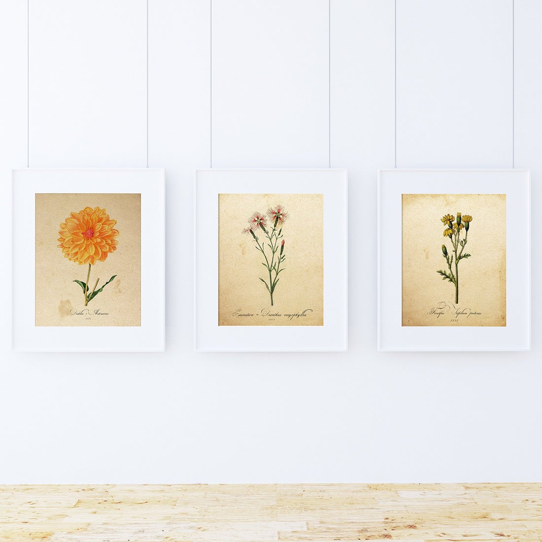 Pack de láminas air. posters con imagenes de botanica. alta calidad marco blanco a3