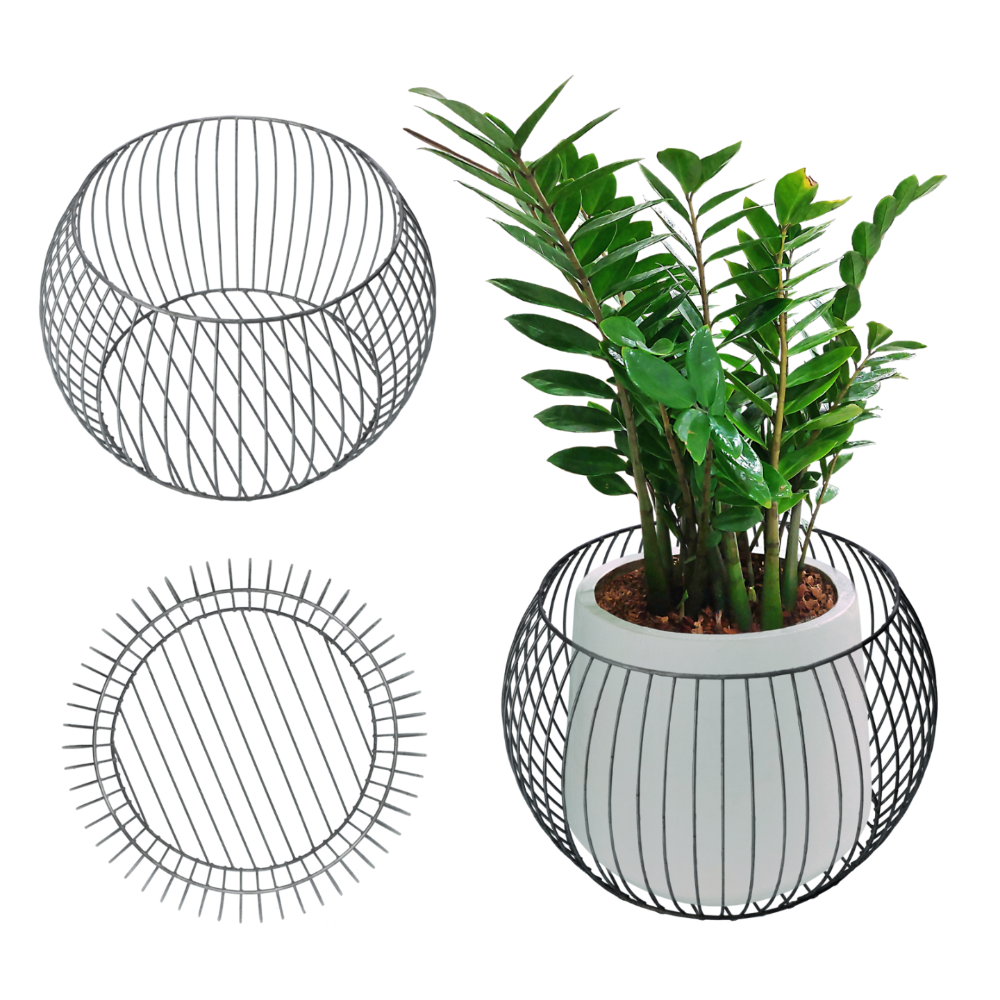 Rete Per Piante Rampicanti Rete A Traliccio Da Giardino, Rete A - Foto 7