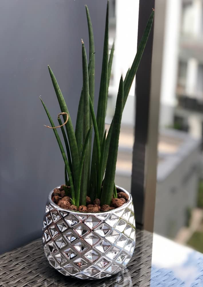 Doniczka donica osłonka ceramiczna szkliwiona 13 cm - Kolor biały - KOTARBAU - 3