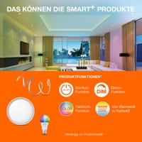 LEDVANCE Tête d'éclairage du système de rail SMART Tracklight WiFi, noir, 8W, 500lm, tête directionnelle, blanc réglable 3000K-6500K, contrôlable par application, compatible , Google, etc LEDVANCE Tête d'éclairage du système de rail SMART Tracklight WiFi, noir, 8W, 500lm, tête directionnelle, blanc réglable 3000K-6500K, contrôlable par application, compatible , Google, etc