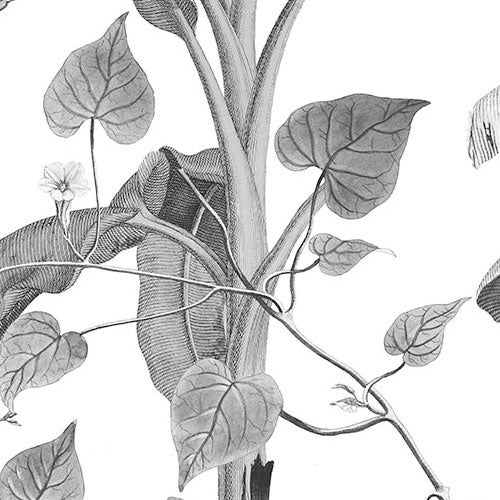 Fotomurale in tessuto non tessuto di Komar - Croissances Monochrome - Dimensione: 400 x 280 cm - 6