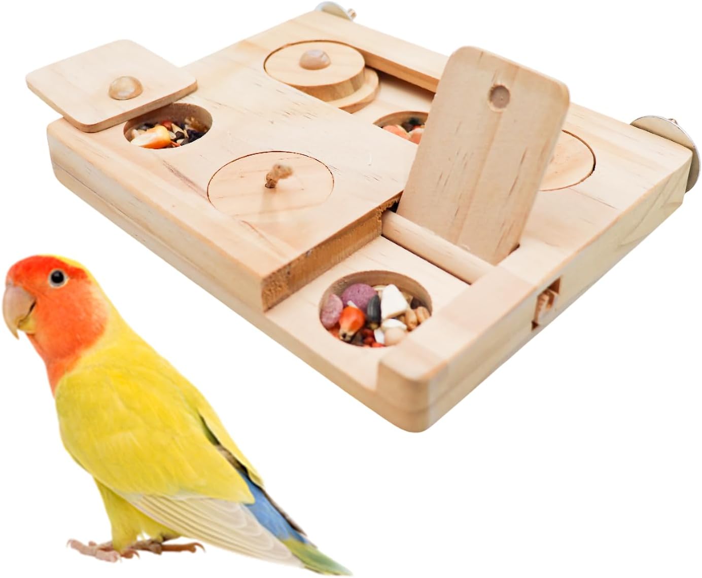 MinrzPet bois oiseau Foraging Puzzle - interactif nourriture Challenge ...