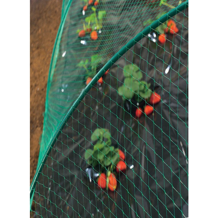 Filet de protection oiseau - Nortene - 2