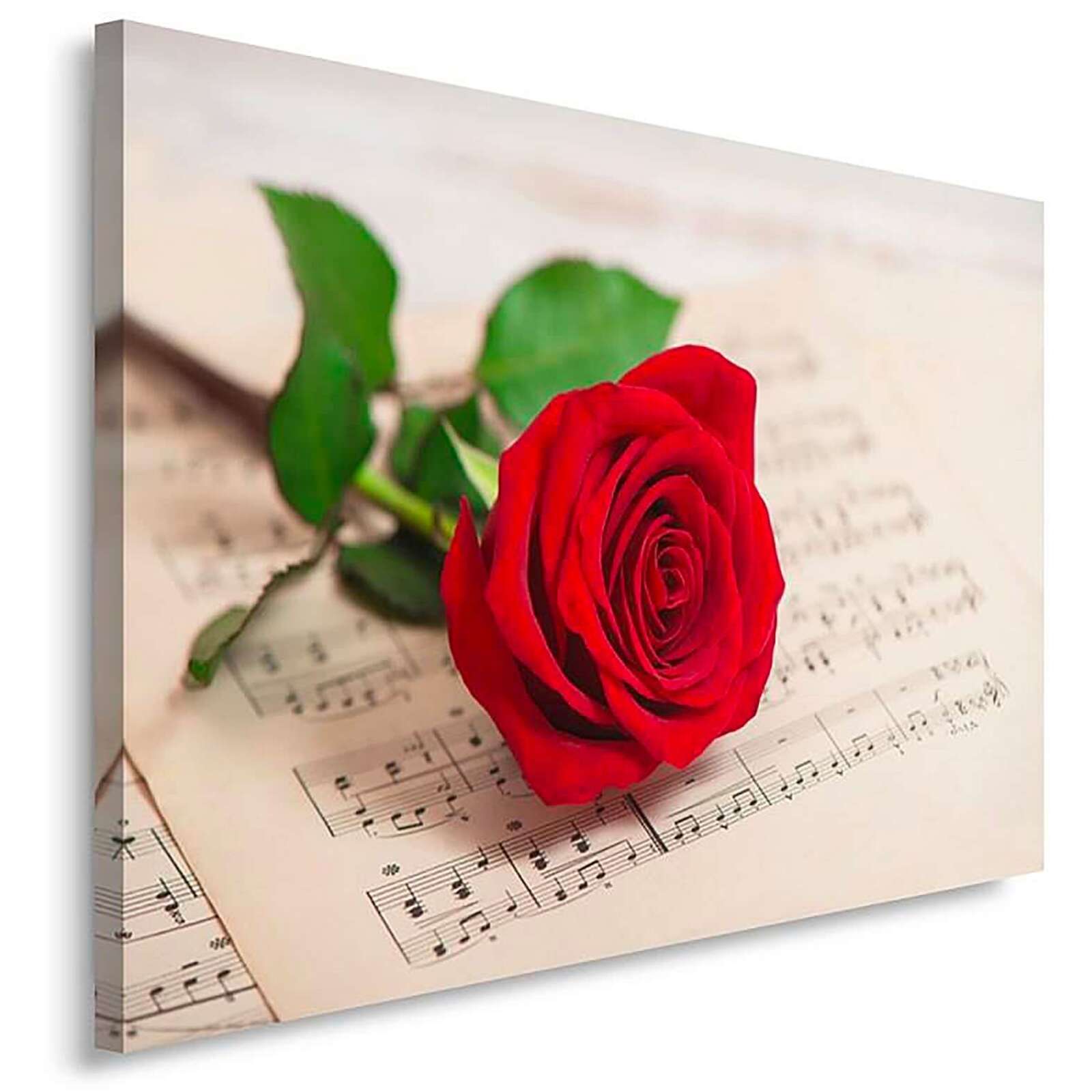 Tableau rose sur des notes - 50 x 40 cm - 2