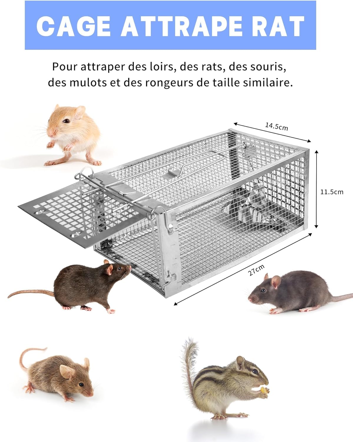 GABBIA TRAPPOLA PER TOPI RATTI CATTURA RODITORI E ESCA PER ANIMALI CON SPORTELLO