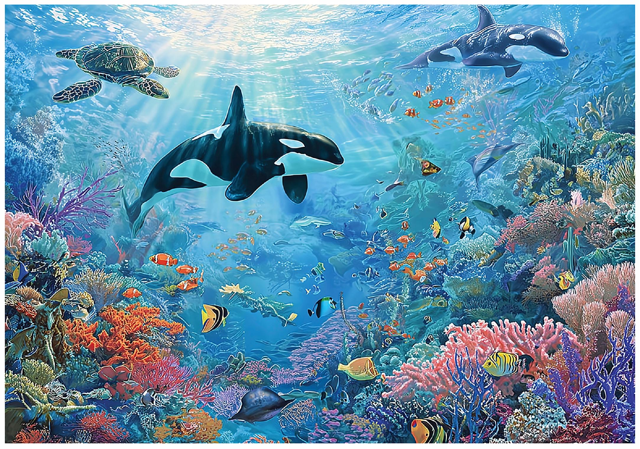 Fototapeta Ocean Rafa koralowa Żółw 350x250 cm Tapeta Do Sypialni Salonu Kuchni Na Flizelinie
