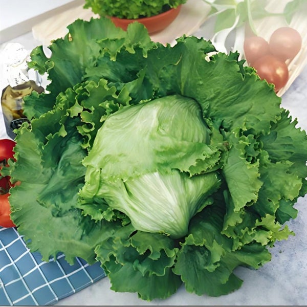 700 Graines de Laitue - Culture Facile en Pot Intérieur/Extérieur - Semences Légumes Frais - 5