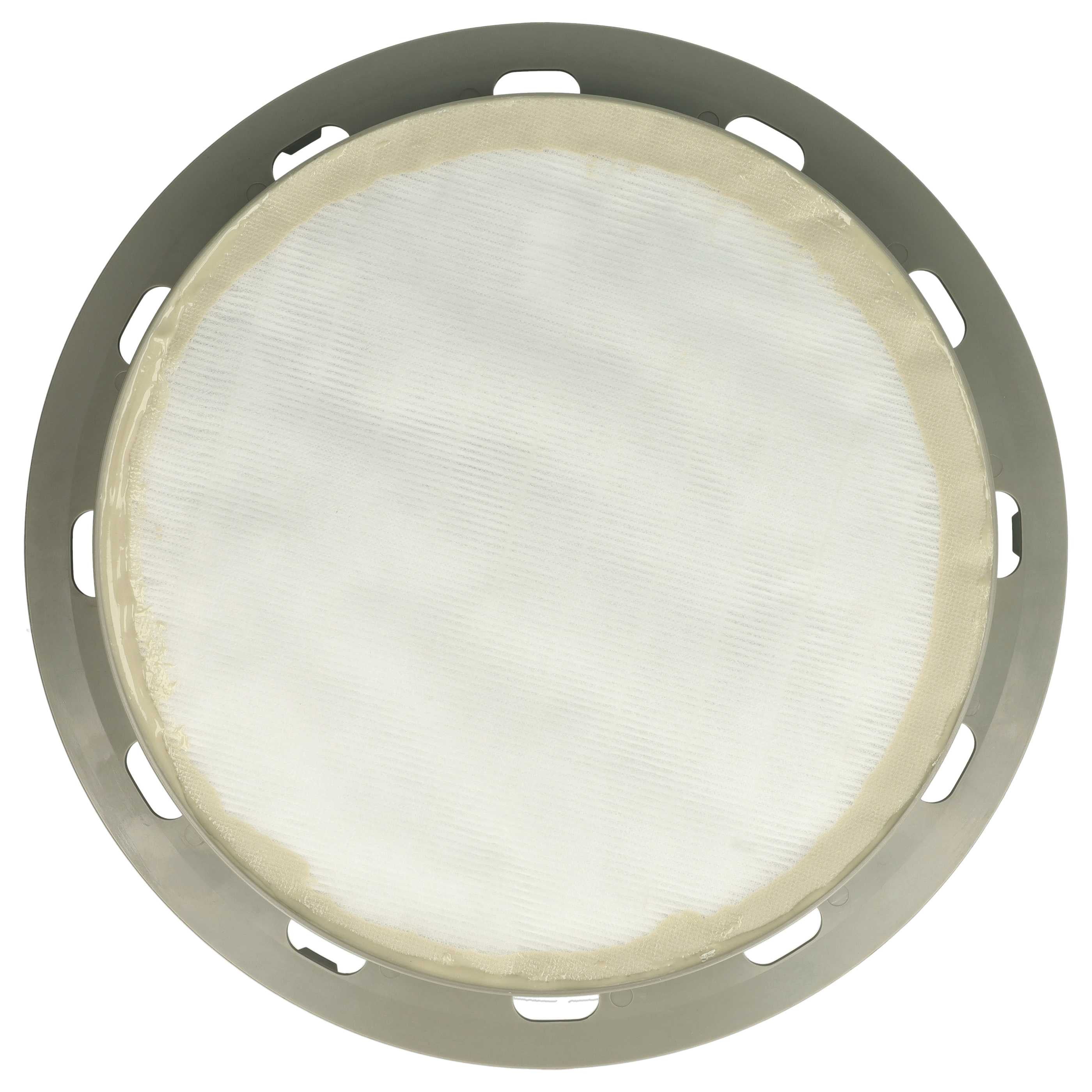 vhbw 5x filtro polveri fini compatibile con Electrolux UZ 934 X Terrier