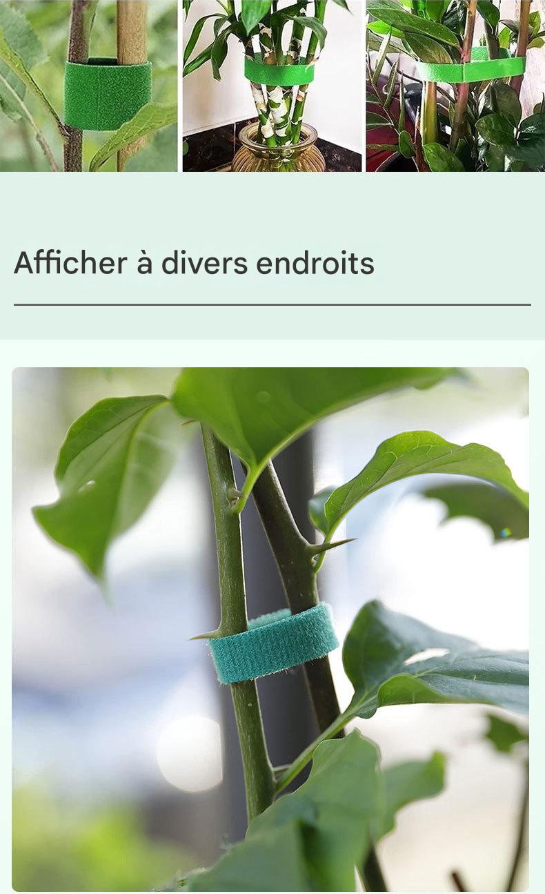 Lot de 4 sangles Velcro vertes de 25 mm x 2 mètres pour fixation de plantes - 4