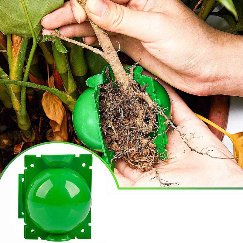 Dispositif d'enracinement de plantes réutilisable 6 pièces, accessoires de boule de propagation d'enracinement de jardinage (petit/vert) - 8