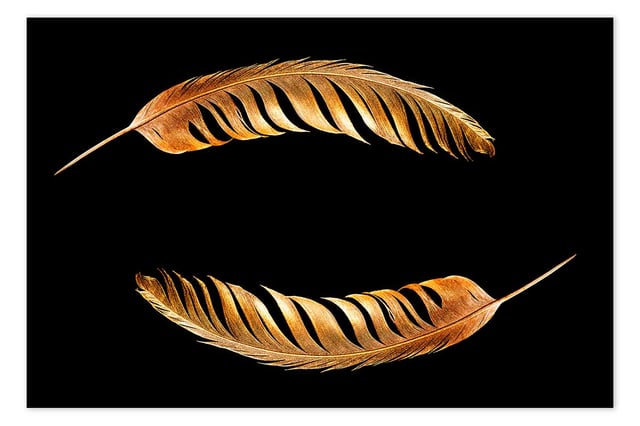 Affiche Plumes de bronze - 60x40cm - made in France