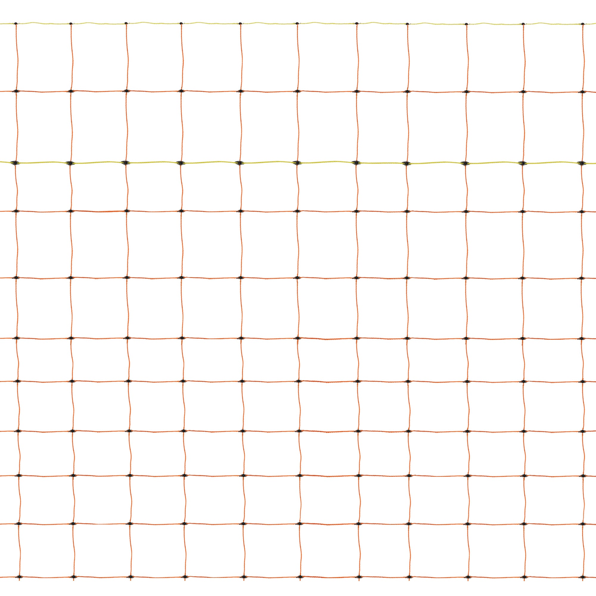 Plumeuse Volaille électrique 550W - Machine Professionnelle Acier Inox