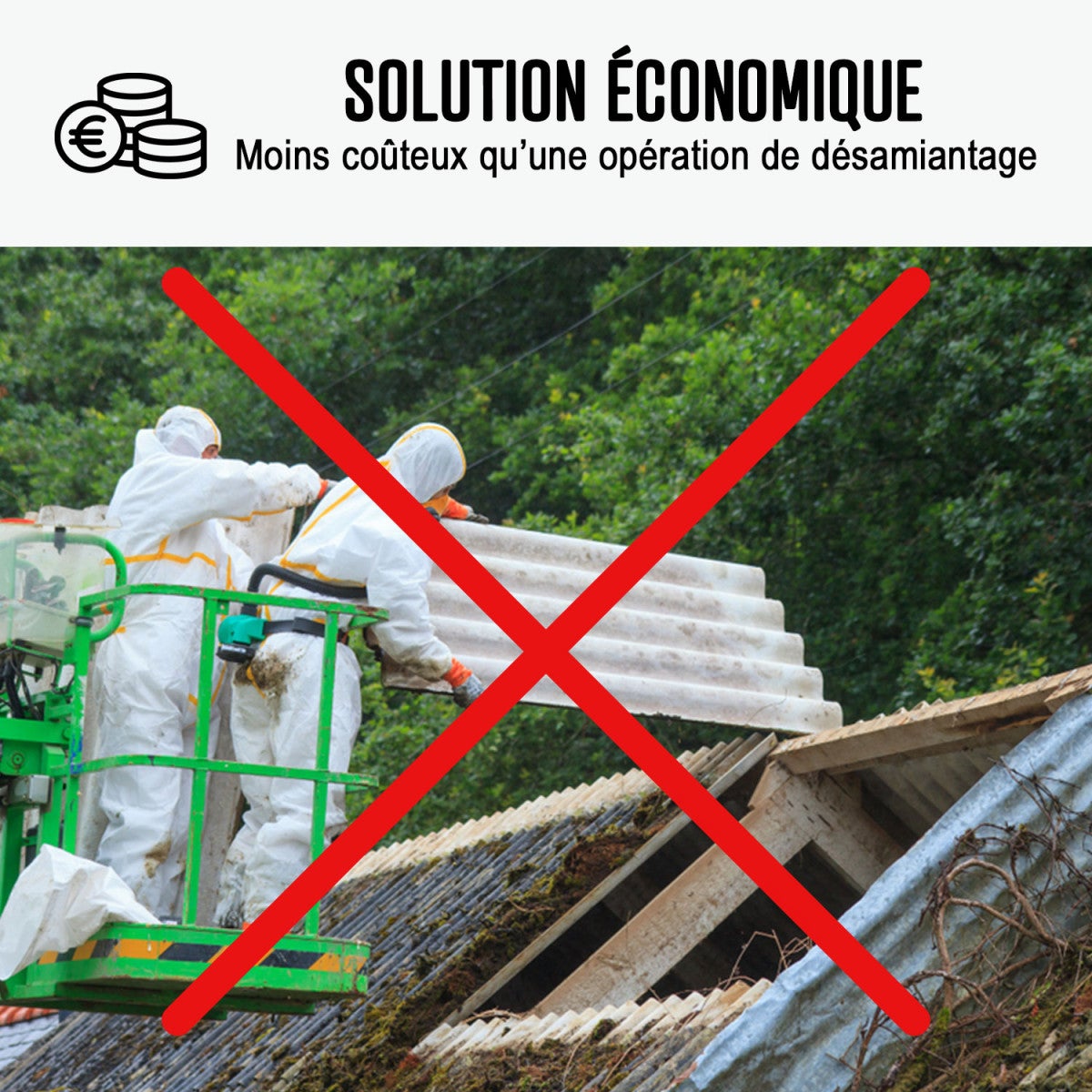 Peinture fibro ciment pour encapsulage support amiante / plomb : ARCACOVER AMIANTE. Blanc - 2.5 L - ARCANE INDUSTRIES - 6