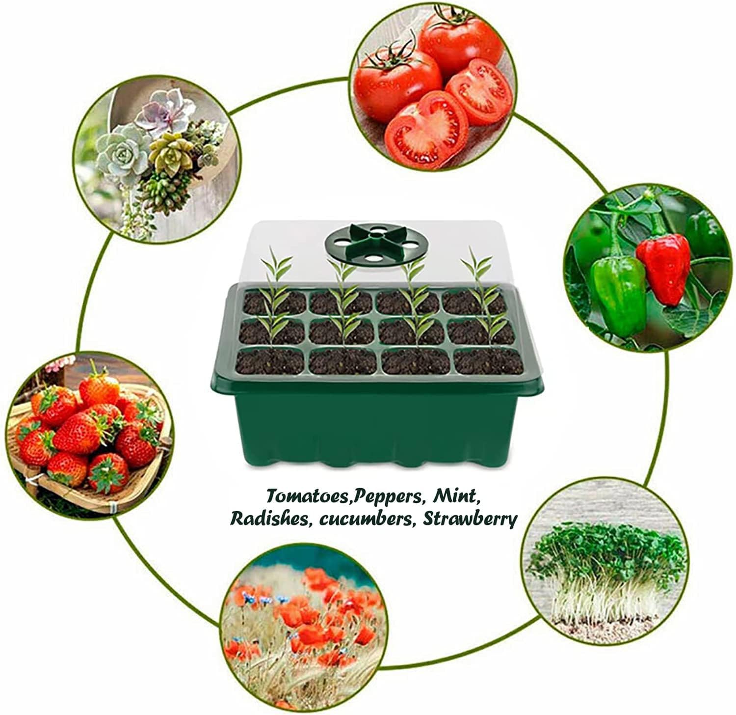 Mini Serre pour Plantes 3 pièces 12 cellules Plateau de Semis avec Couvercle Bac à Germination Durable - 3