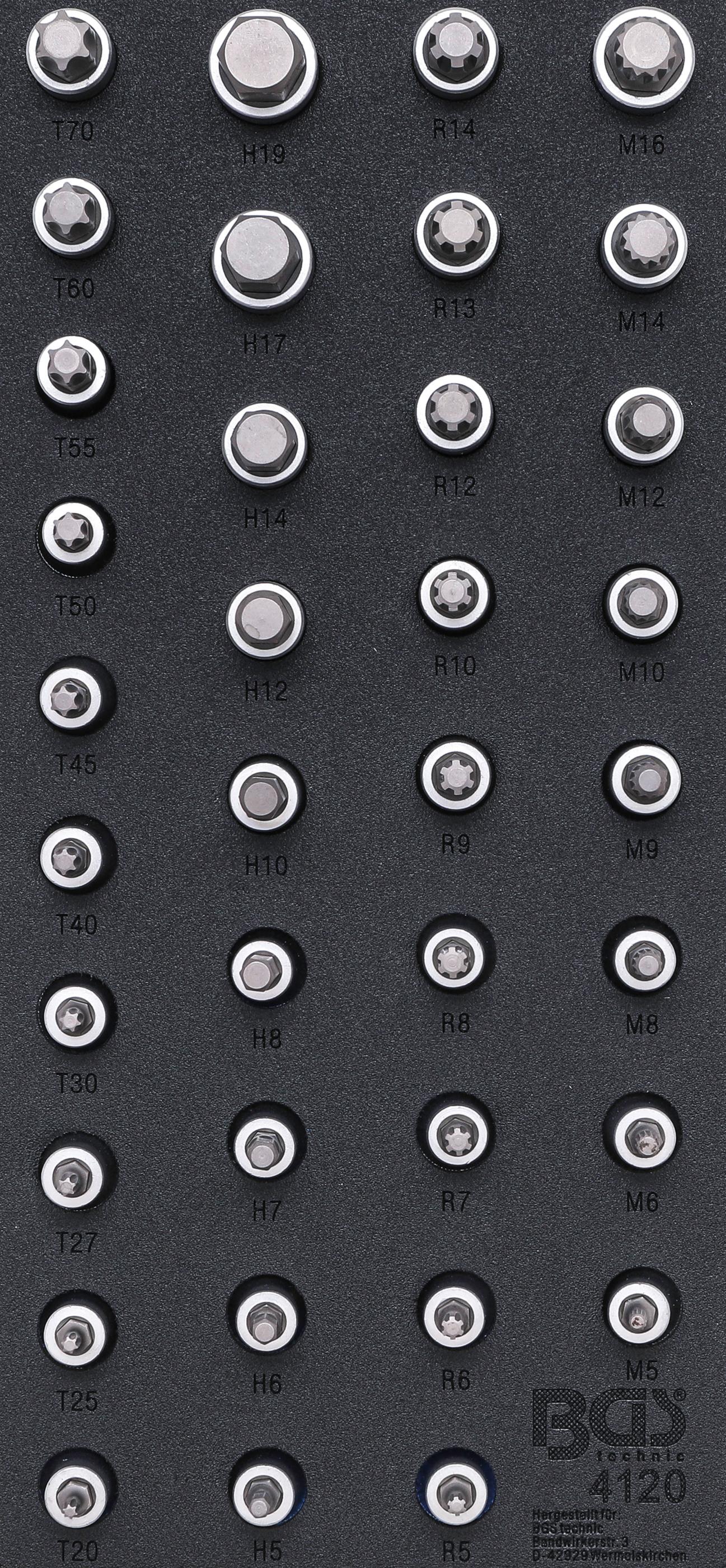 Jeu D'outils BGS 4048 - Insert Servante Atelier 1/3 : Clés Polygonales Et Douilles Spéciales 10mm (3/8"), 13 Pièces