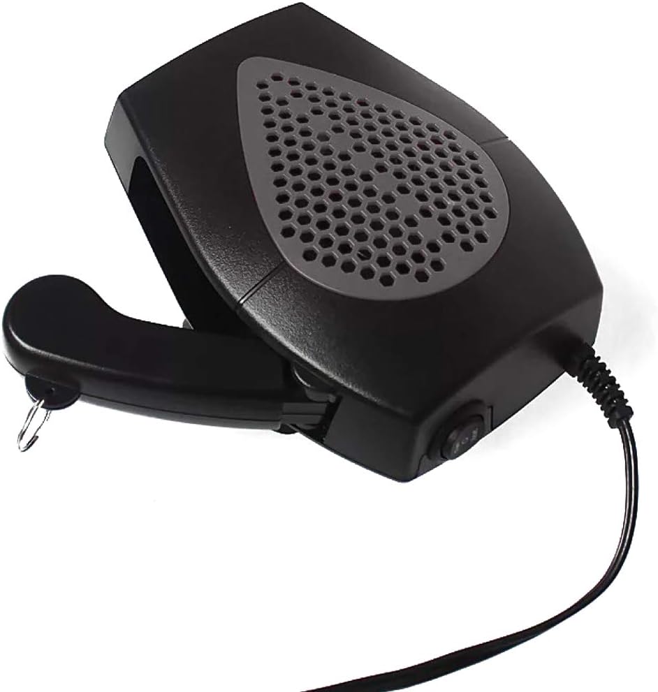 Riloer Chauffage Voiture Électrique 12V 300W – Dégivreur & Ventilateur Chauffant Portable
