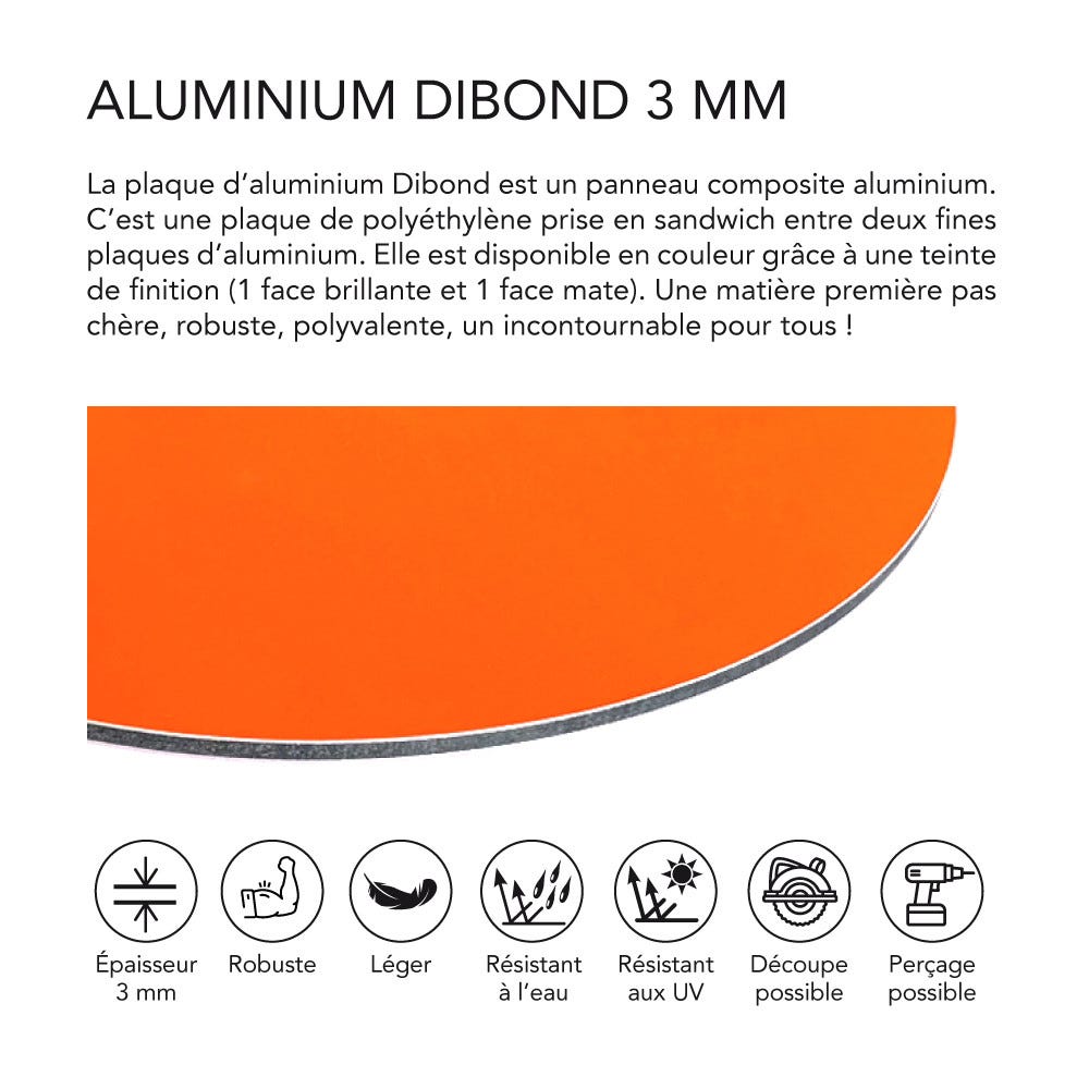 Panneau Composite Aluminium Couleur 3 Mm Rond Diam tre 1000 Mm Leroy panneau-composite-aluminium-couleur-3-mm-rond-diam-tre-1000-mm-leroy