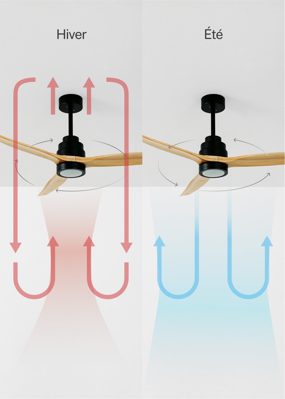 WINDSTYLANCE DC - Ventilateur de Plafond 40W Silencieux Ø132 cm - Avec lumière et WIFI + télécommande - 4