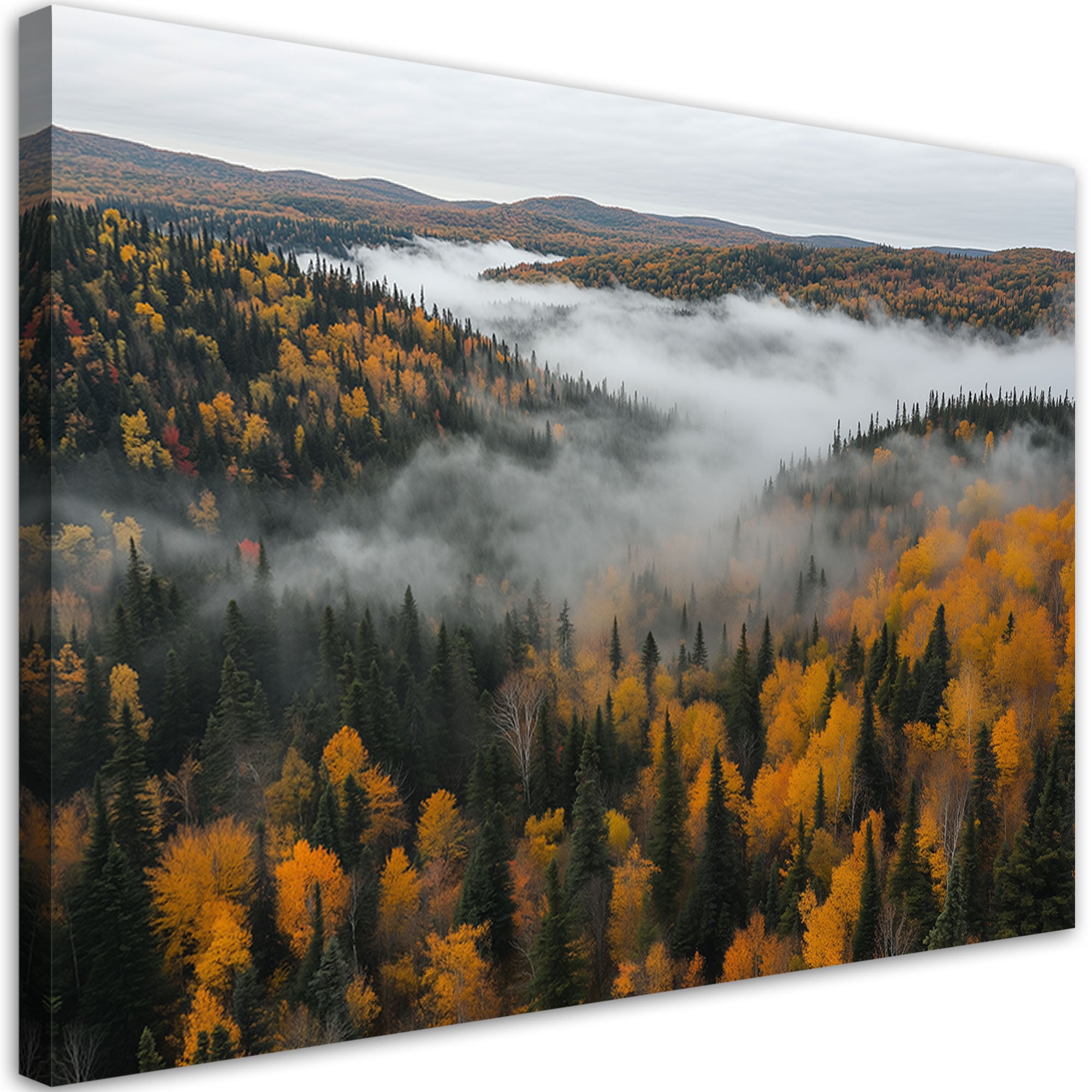 Obraz do salonu sypialni, Las we mgle natura pejzaż 90x60