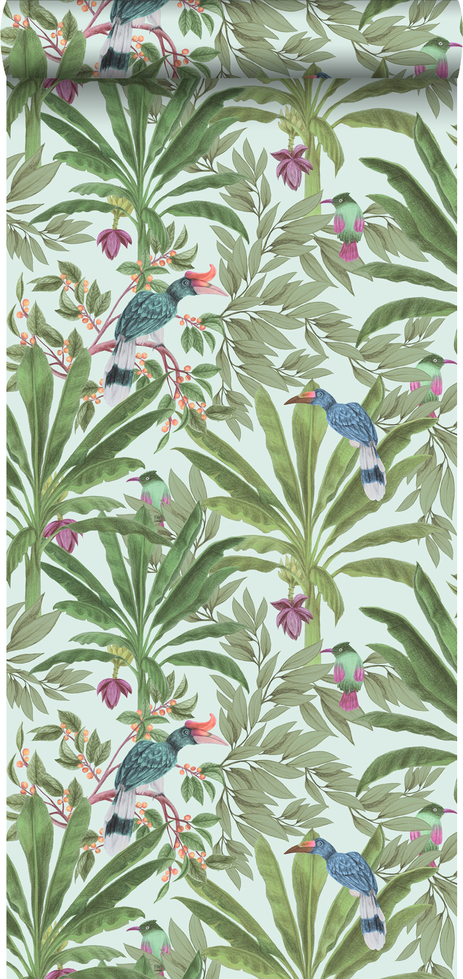 Papel pintado hojas de la selva tropical y pájaros del paraíso menta verde y verde - 0,53 x 10,05 m - walls4you