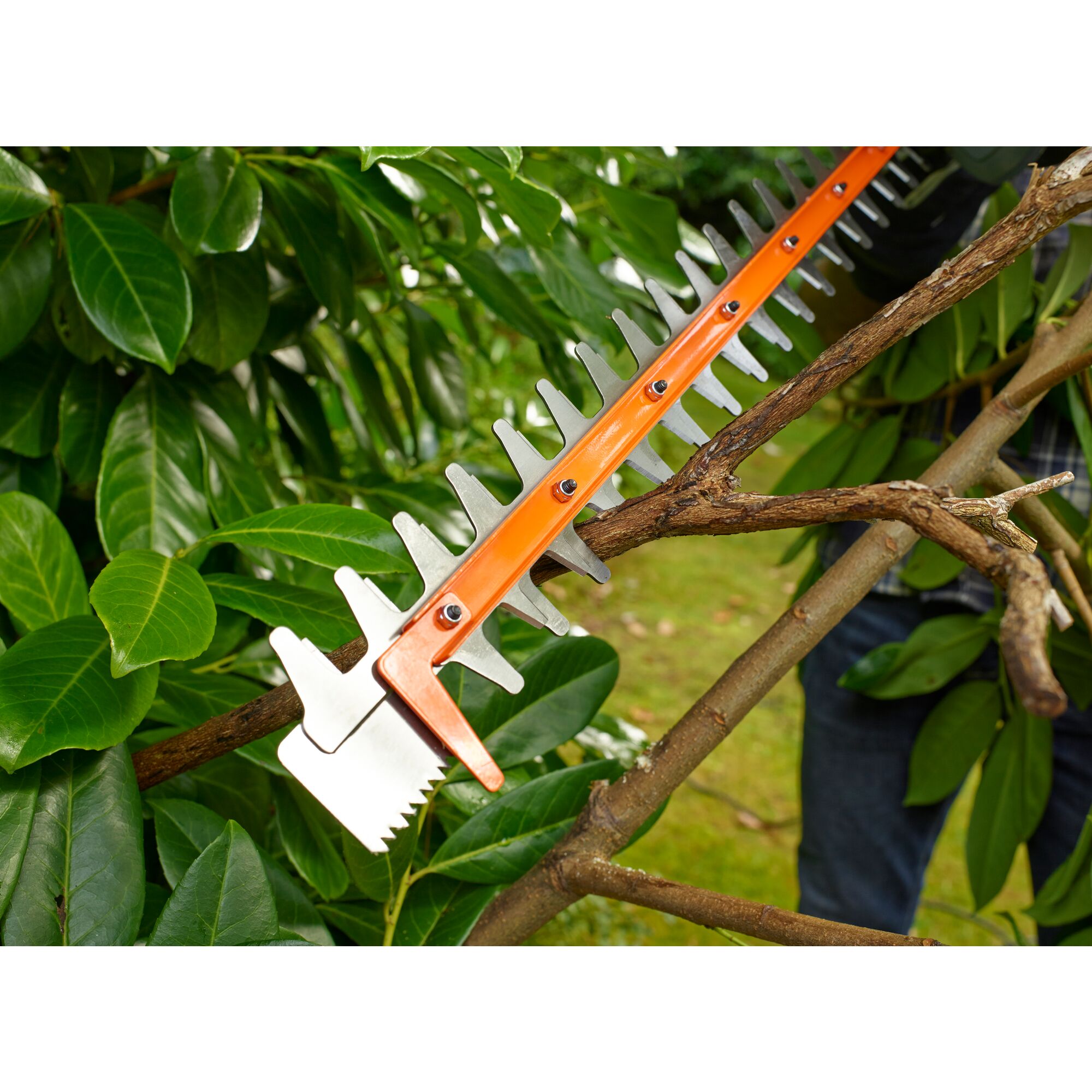 BLACK+DECKER Taille-Haies électrique filaire 550 W, lame 60 cm avec 2 Poignées et Garde BEHTS451-QS - 5