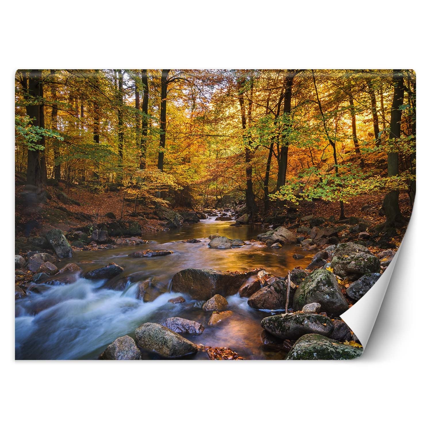 Fototapeta, Potok górski w lesie 200x140