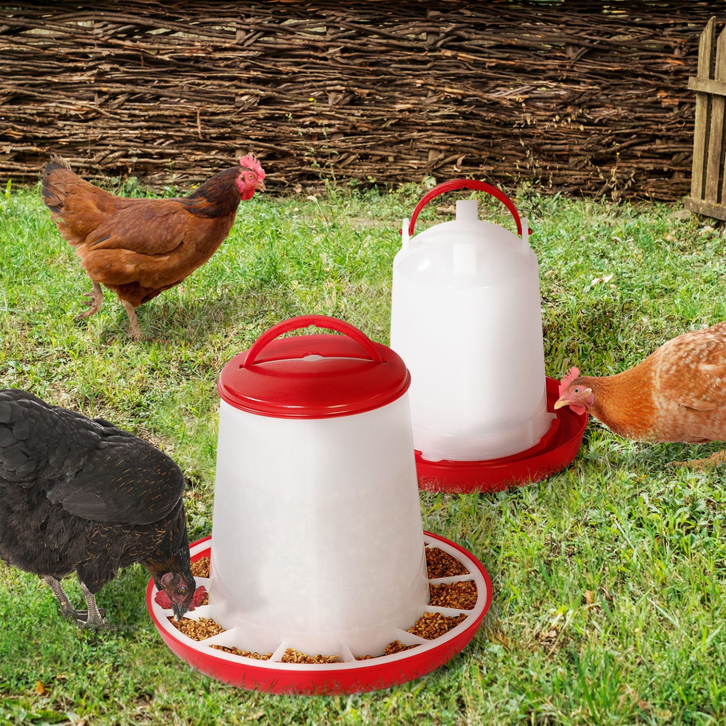 Lot Mangeoire 3 KG Et Abreuvoir 3L Pour Poules Et Volailles Leroy Merlin lot-mangeoire-3-kg-et-abreuvoir-3l-pour-poules-et-volailles-leroy-merlin