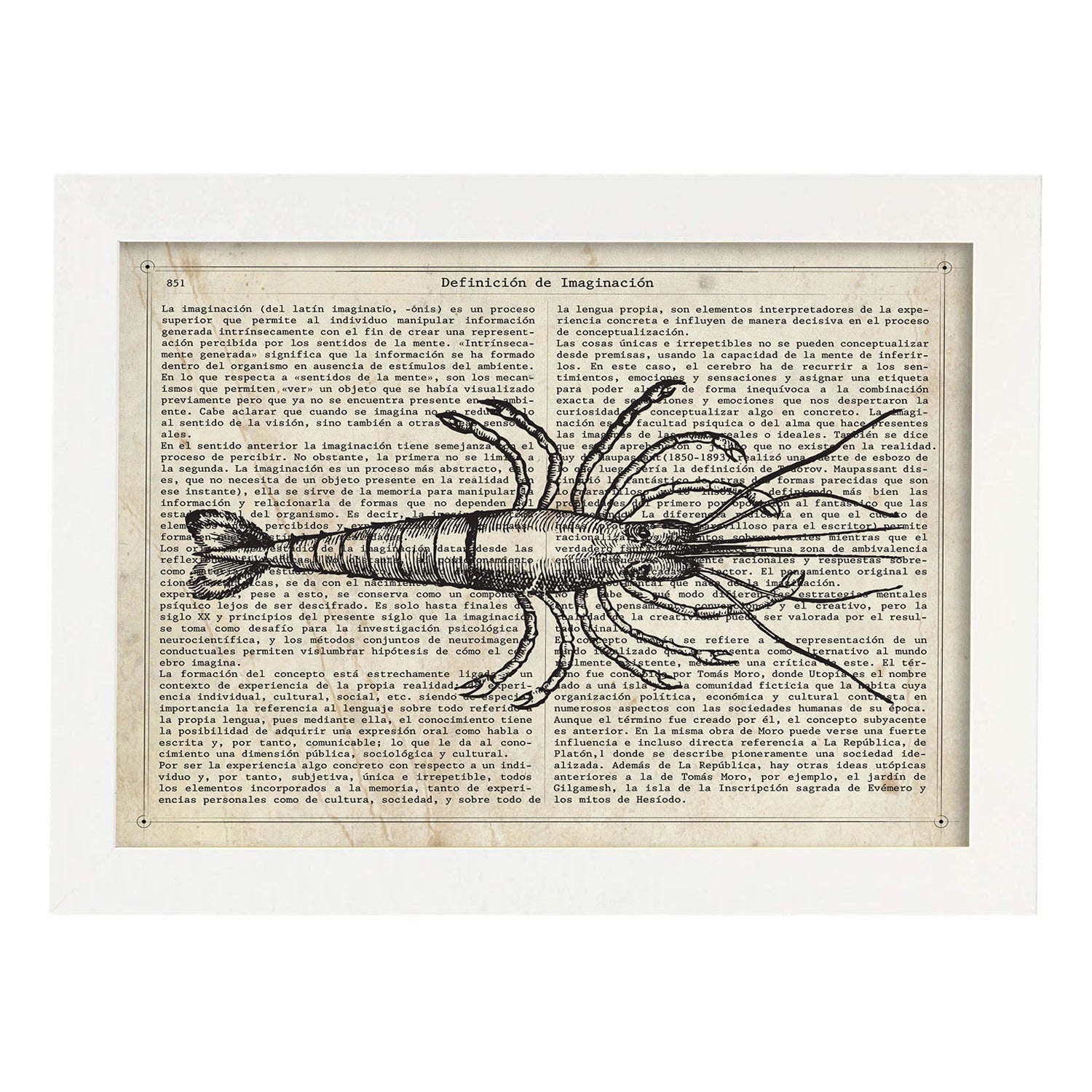 Affiches D'objets Vintage. Lame De Homard Vintage Avec Des Images D'objets Et D'instruments Vintage, Avec Des Définitions En Espagnol. Sans Cadre A3 - 2