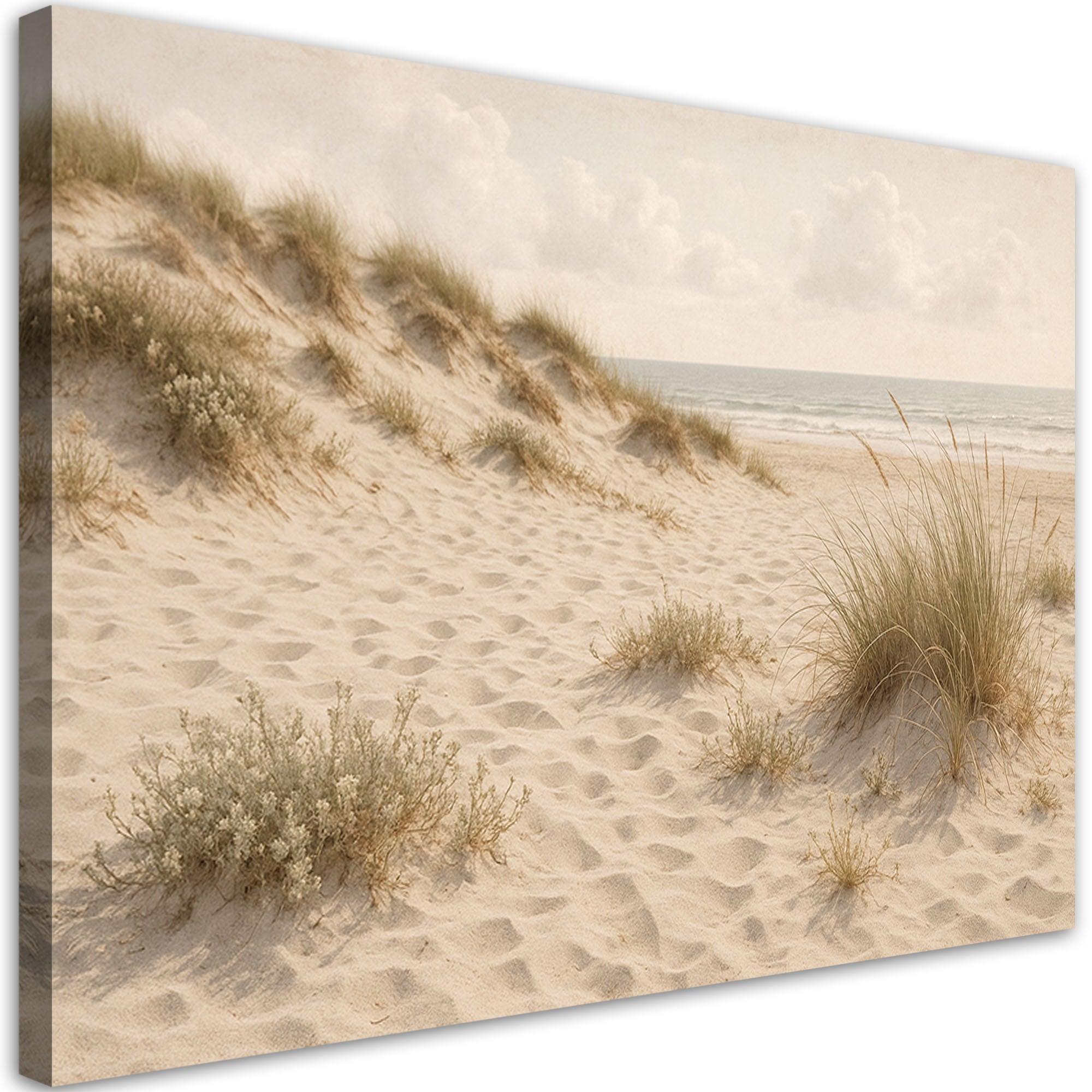 Obraz na płótnie do salonu sypialni, Plaża Wydmy Trawy Shabby Chic 90x60