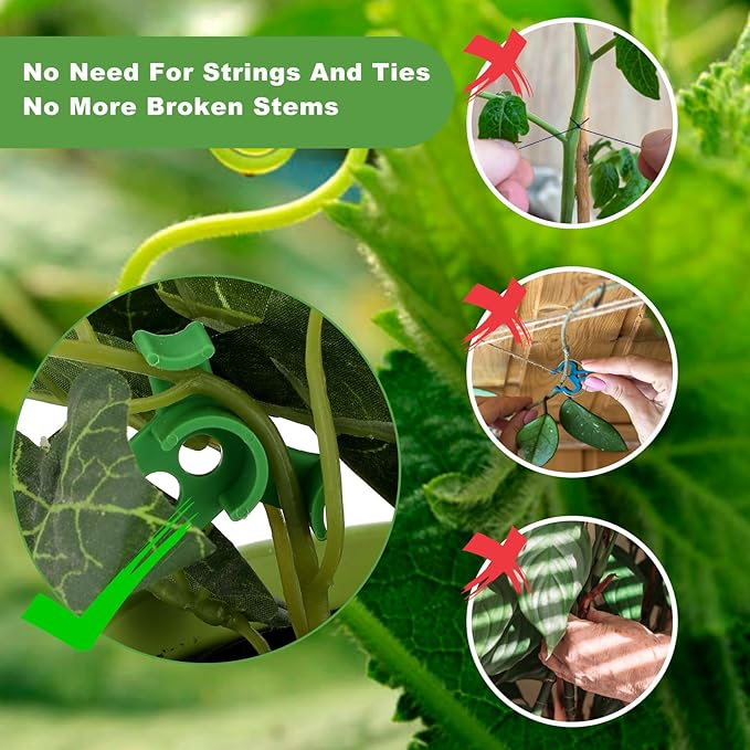 Pinces de pliage de plantes à 90 °, 20 pièces, outil de pliage de plantes, Support de vigne de légumes, Clips de Support de jardin - 4