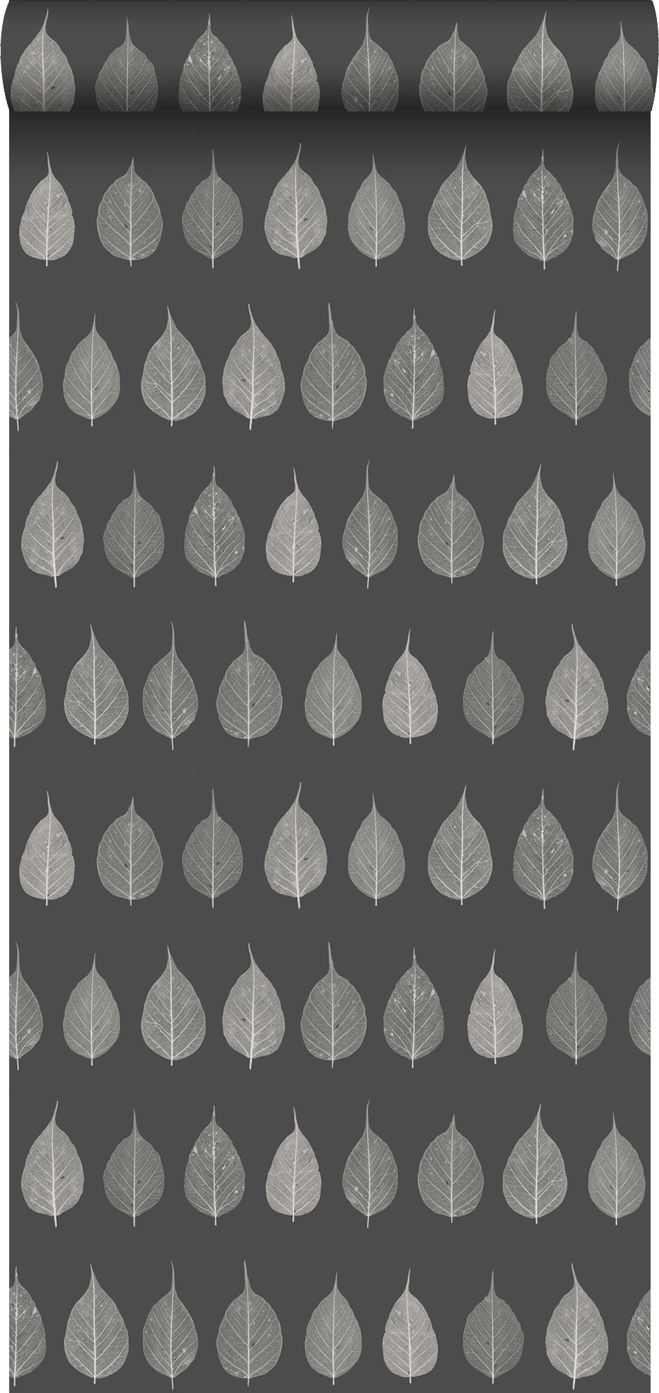 Tapeta liście szkieletu czarnymIbrązowymIantracytowym - 53 cm x 10.05 m - ESTAHOME