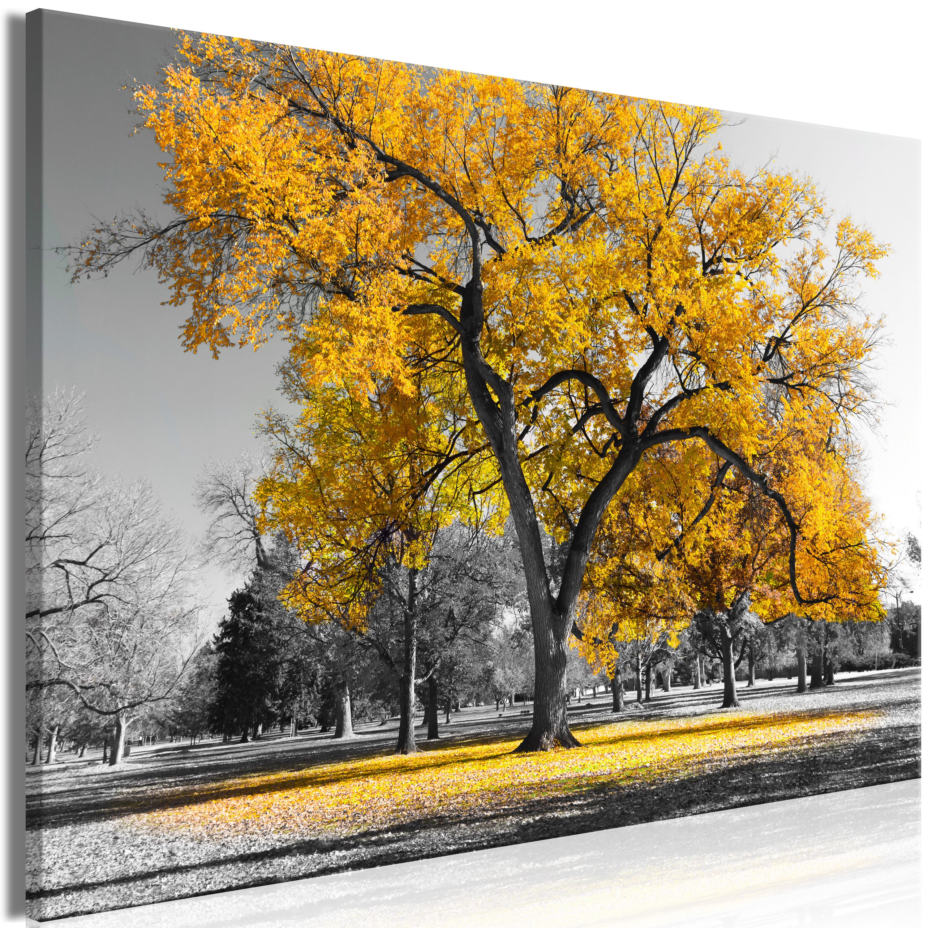 Tableau - Autumn in the Park (1 Part) Wide Gold [60x40] | Leroy Merlin
