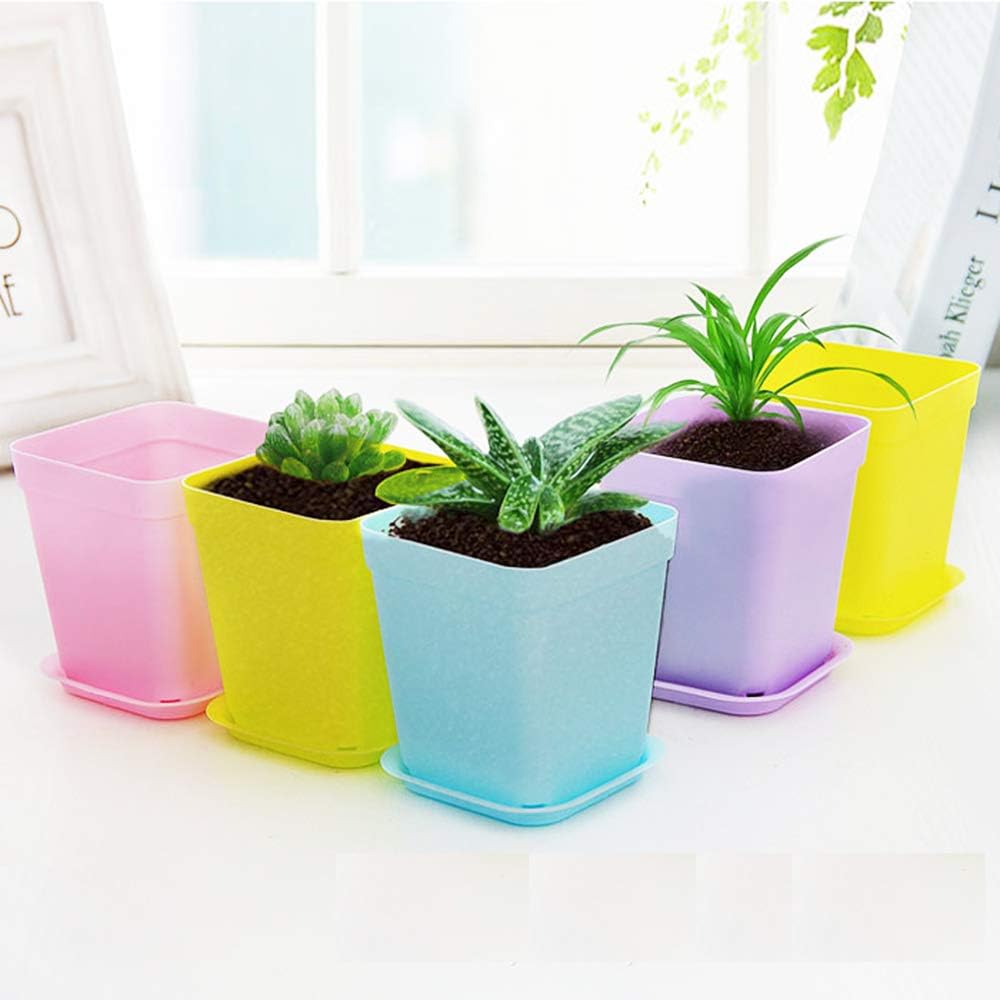 Lot de 24 pots de fleurs carrés en plastique coloré de 7,6 cm (3 pouces), adaptés aux semis, au repiquage et à la plantation. - 4