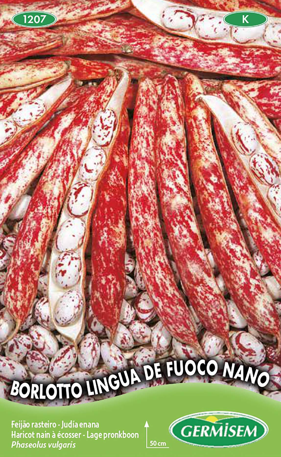 Semi Di Fagiolo Borlotto Lingua De Fuoco Nano - 100g, Per Orto, Francese - Foto 3