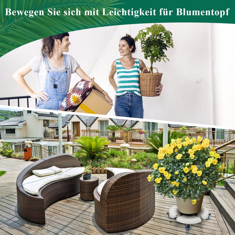 Chariot de transport Meister Werkzeuge Charge max: 300 kg - 3