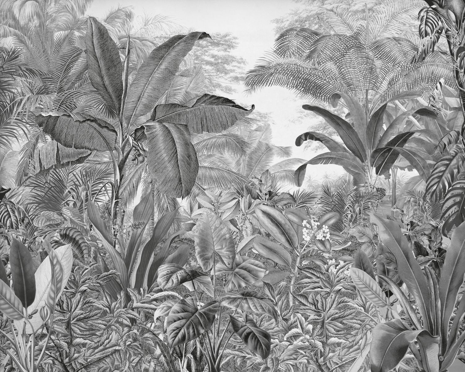 Papier Peint Panoramique Jungle Noir Et Blanc Papier peint panoramique jungle noir et blanc - 350 x 280 cm - Komar