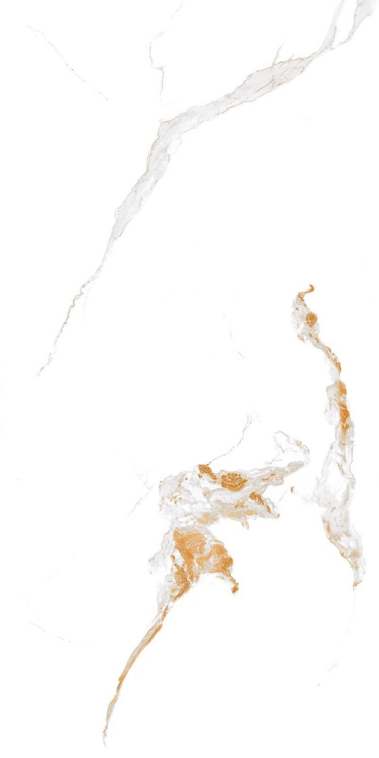 Carrelage sol/mur effet marbre blanc brillant GOLDEN CARRARA L.120 x l.60cm - 6