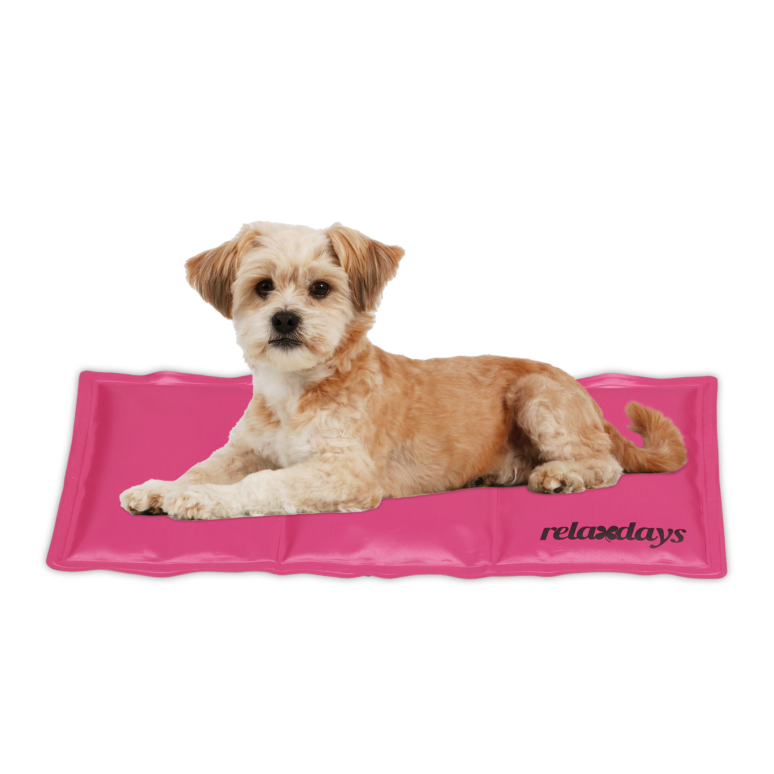 Tapis Rafraîchissant 40 X 50cm Pour Chien Et Chat - Auto-Refroidissant Avec Gel Non Toxique - Utilisation Intérieure Et Extérieure (Neige