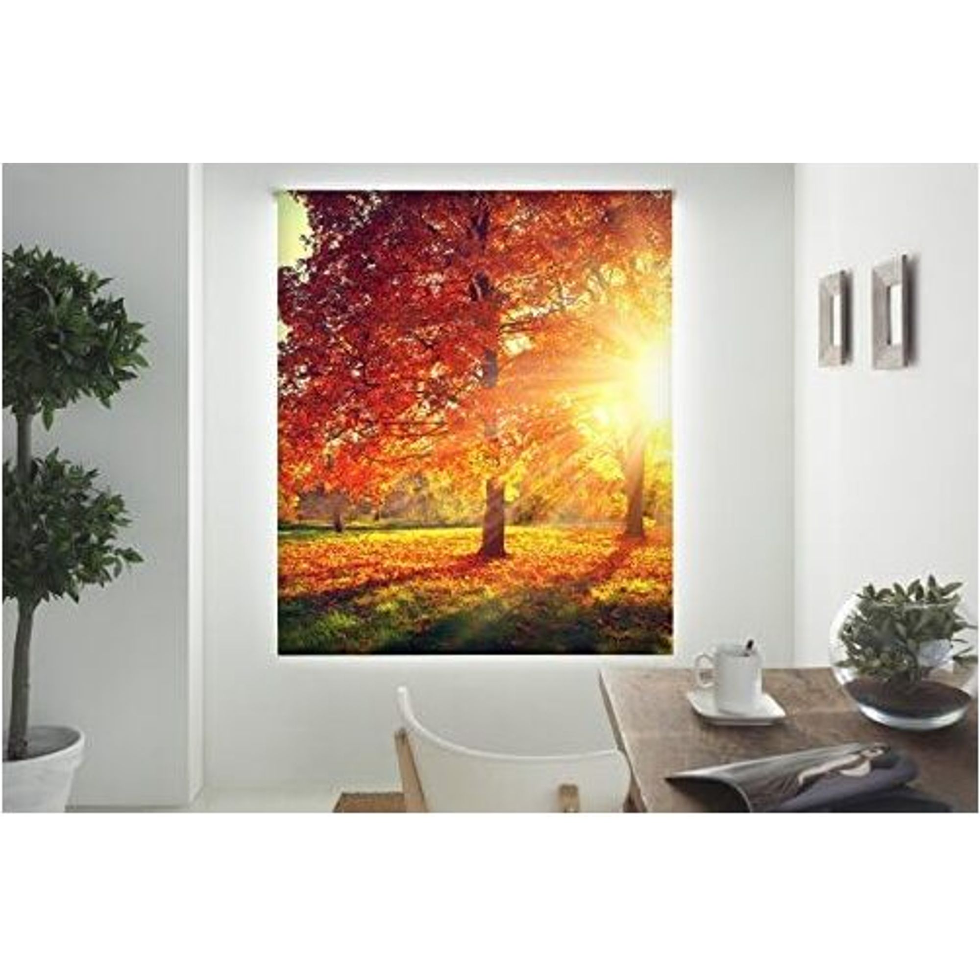 ECOMMERC3 | Tenda a rullo traslucida misura 110X180 - Tenda a rullo modello W-p-37235 - Tenda a rullo misura in tessuto 107x175 - 2