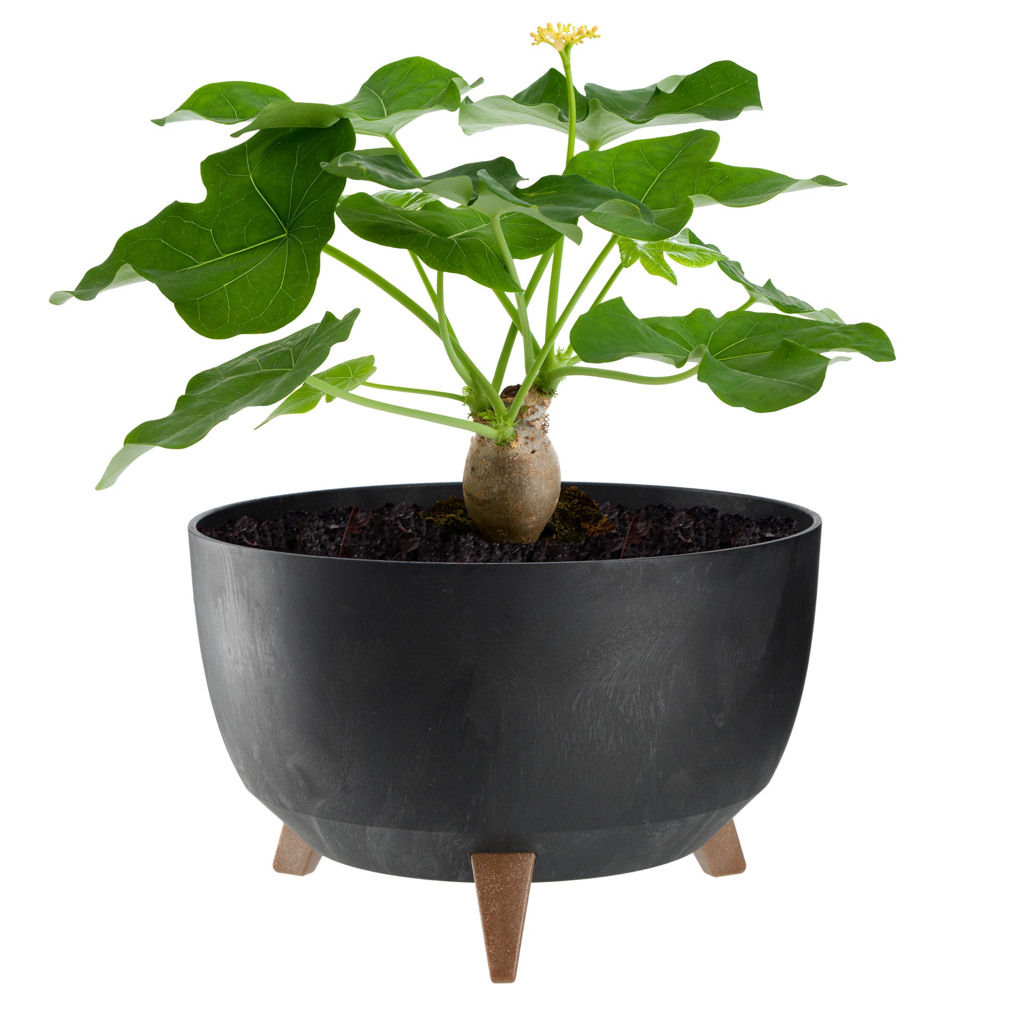 DONICZKA DONICA NA KWIATY 33cm OSŁONKA + WKŁAD NÓŻKI KOREK KWIETNIK CZARNY