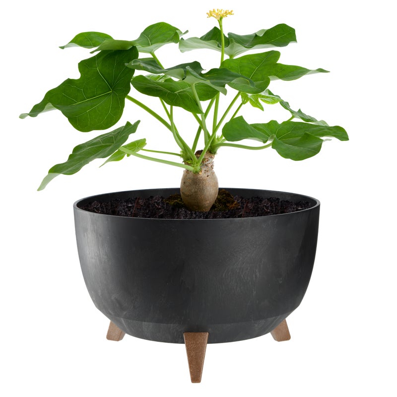 DONICZKA DONICA NA KWIATY 33cm OSŁONKA + WKŁAD NÓŻKI KOREK KWIETNIK CZARNY