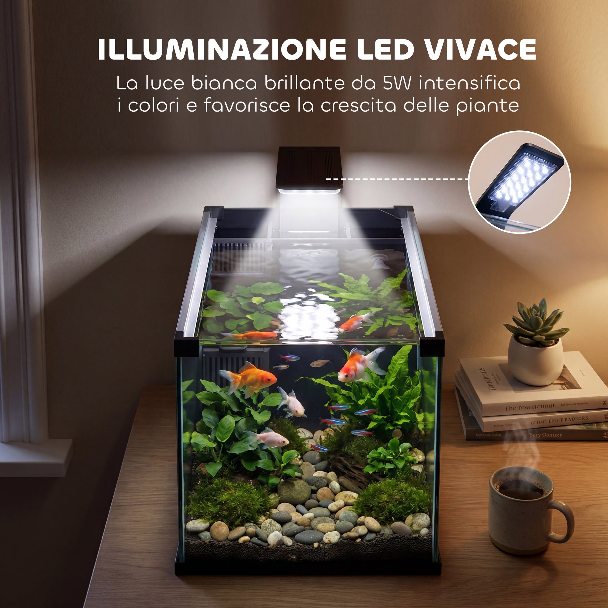 Acuario de vidrio templado de 24 litros con filtro, luz LED y bomba de agua. - 9