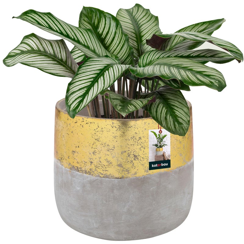 Doniczka donica ceramiczna kwiaty złota zioła rośliny osłonka nieszkliwiona - KOTARBAU