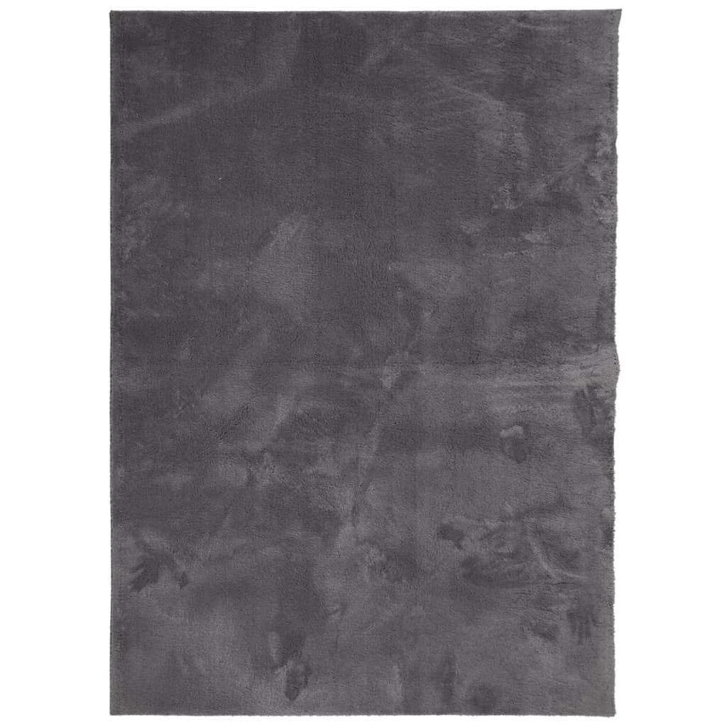 Tapis De Salon Doux Et Antidérapant BEIMO – Poils Ras 6 Mm, Lavable Machine, 80x150 Cm, Couleur Anthracite - 4