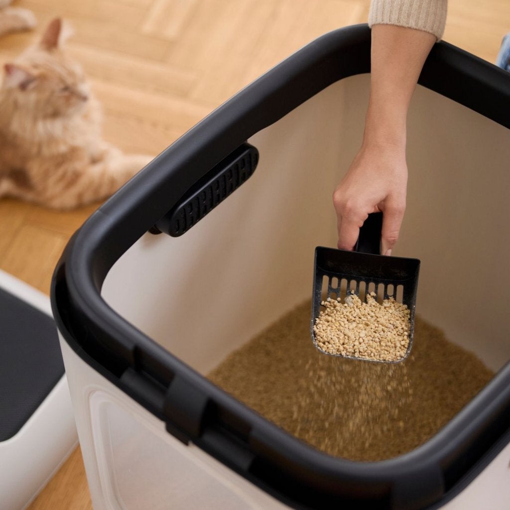Rotho MyPet Bea XXL kattenbak met kap en schep, kunststof (PP gerecycled), 61,4 x 49,9 x 57,6 cm, grijs