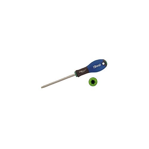 Tournevis BOST - Lame Resistorx Expert - TT25 X 100 mm - 624830