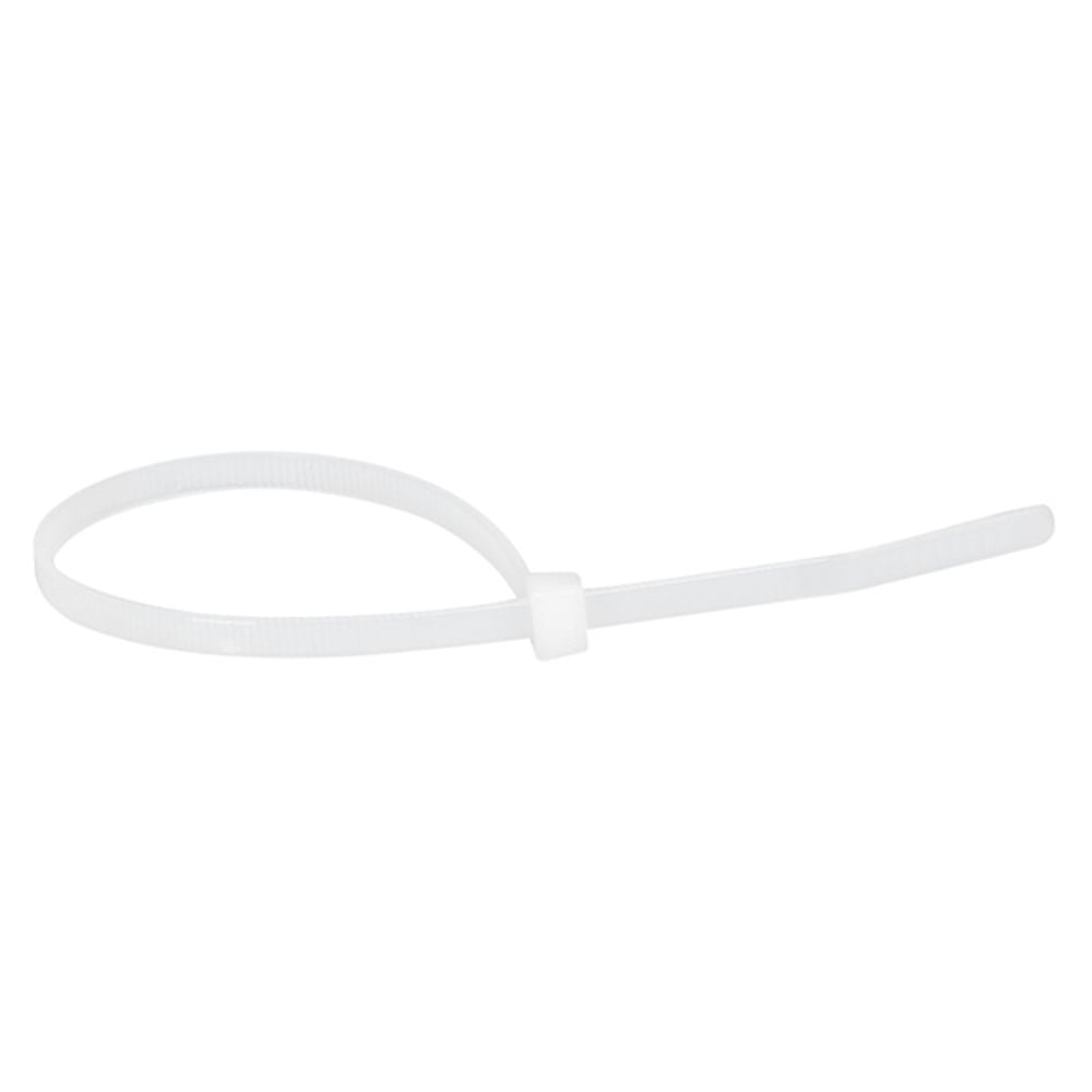Colliers Colring à denture intérieure - 3,5 x 280 mm - Blanc - 2