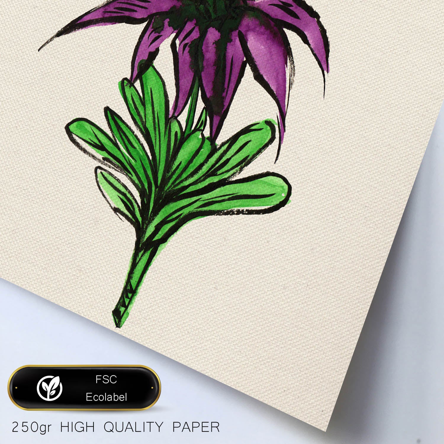 Affiche De Fleur Et De Nature. Cassionate Flower Square Lame, Illustrée De Dessins De Couleur. Cadre En Bois Clair - 2
